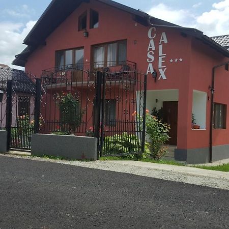 Vila Alex Calimanesti Exterior photo