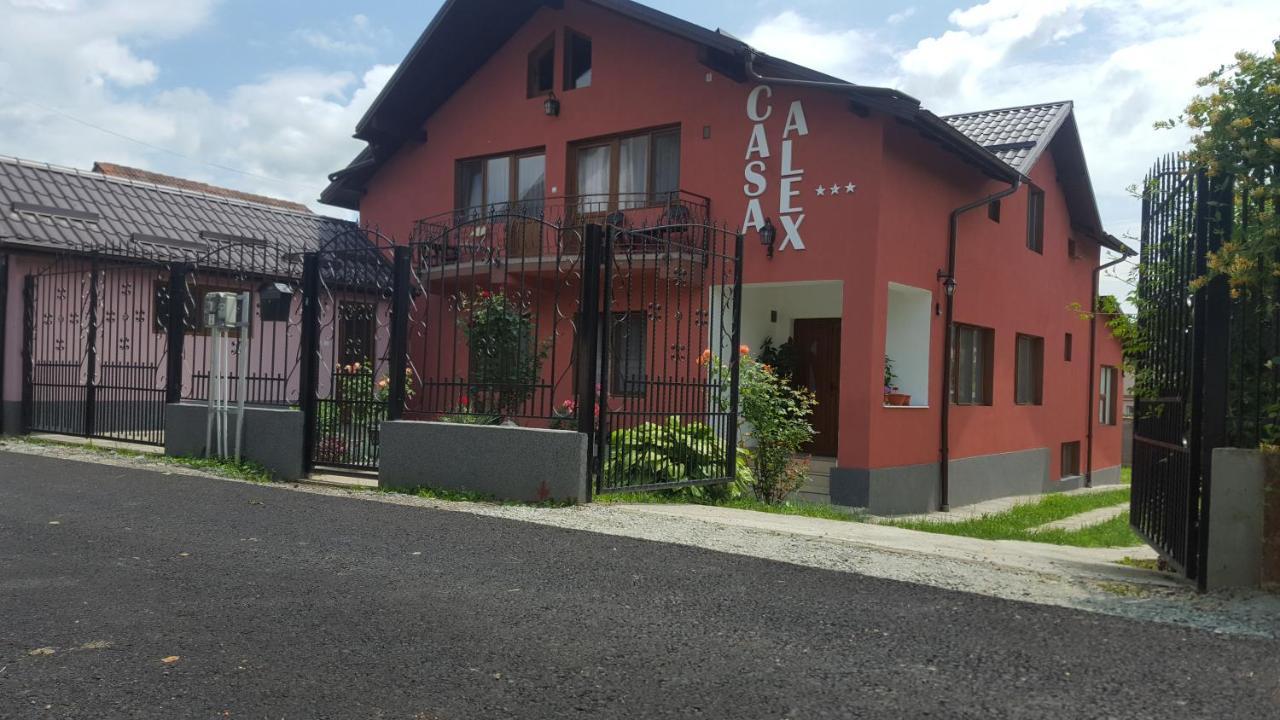 Vila Alex Calimanesti Exterior photo