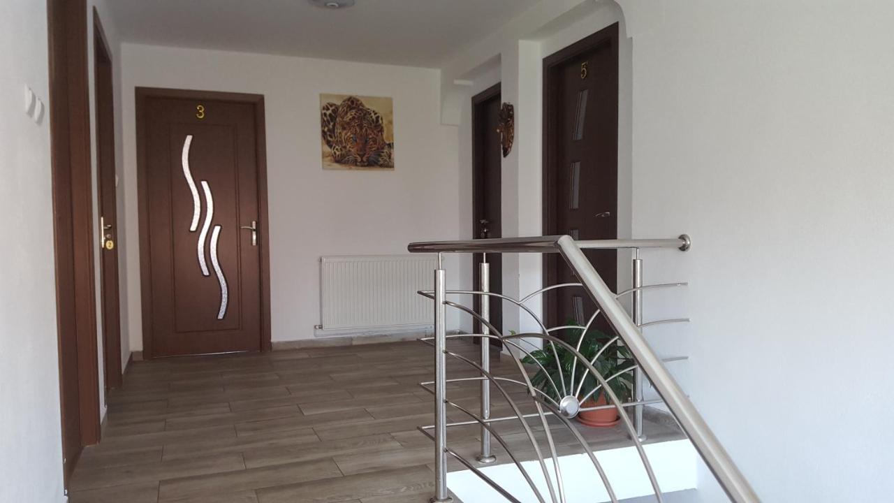 Vila Alex Calimanesti Exterior photo
