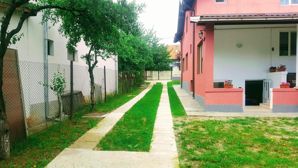 Vila Alex Calimanesti Exterior photo