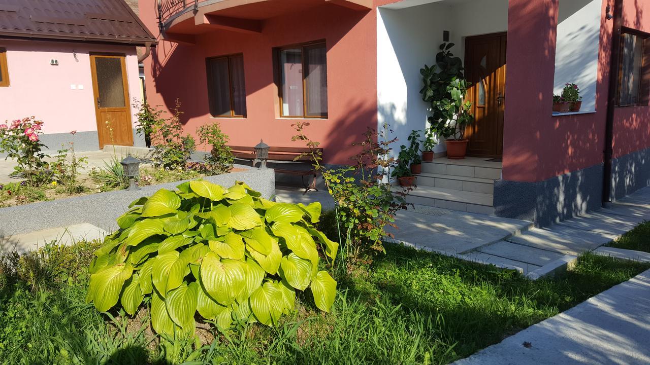 Vila Alex Calimanesti Exterior photo
